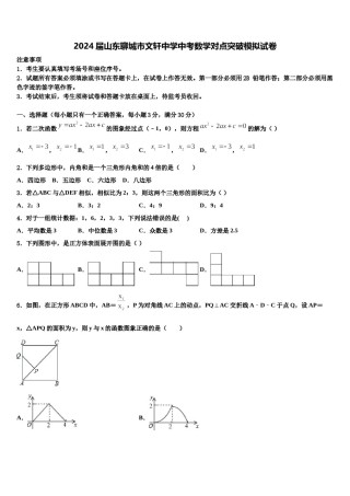 2024届山东聊城市文轩中学中考数学对点突破模拟试卷含解析.doc
