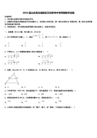 2024届山东青岛城阳区五校联考中考四模数学试题含解析.doc