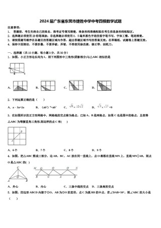 2024届广东省东莞市捷胜中学中考四模数学试题含解析.doc