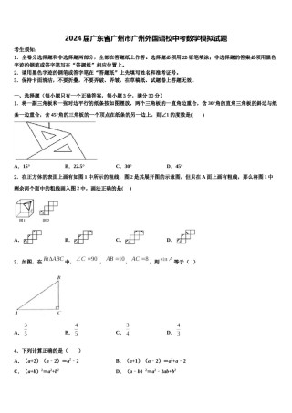 2024届广东省广州市广州外国语校中考数学模拟试题含解析.doc
