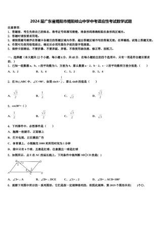 2024届广东省揭阳市揭阳岐山中学中考适应性考试数学试题含解析.doc
