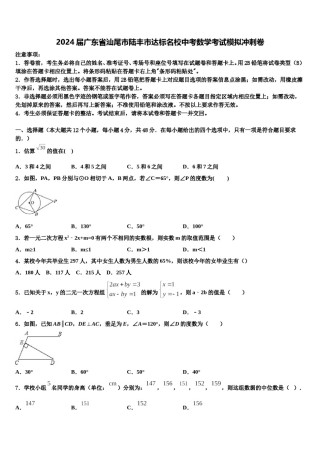 2024届广东省汕尾市陆丰市达标名校中考数学考试模拟冲刺卷含解析.doc