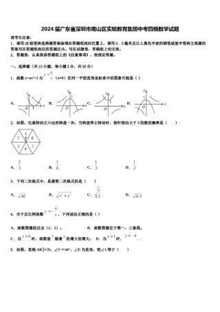 2024届广东省深圳市南山区实验教育集团中考四模数学试题含解析.doc