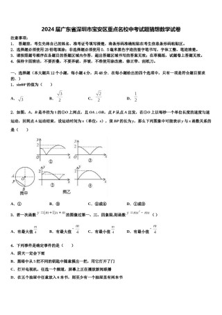 2024届广东省深圳市宝安区重点名校中考试题猜想数学试卷含解析.doc