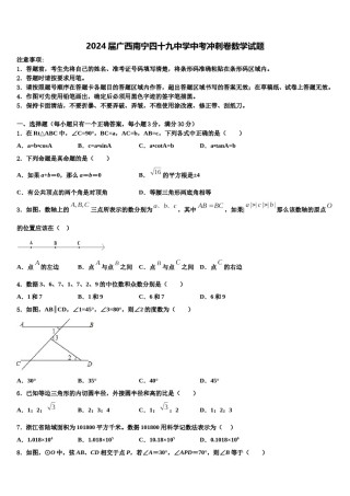 2024届广西南宁四十九中学中考冲刺卷数学试题含解析.doc