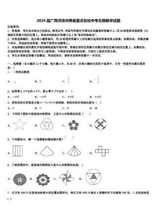2024届广西河池市两县重点名校中考五模数学试题含解析.doc