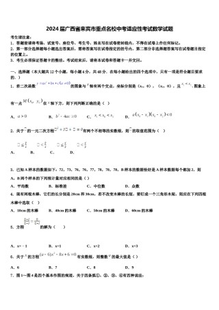 2024届广西省来宾市重点名校中考适应性考试数学试题含解析.doc