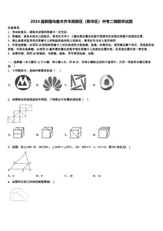 2024届新疆乌鲁木齐市高新区（新市区）中考二模数学试题含解析.doc