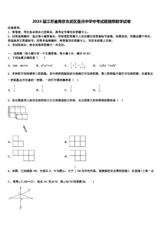 2024届江苏省南京玄武区重点中学中考试题猜想数学试卷含解析.doc