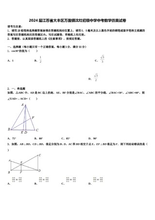 2024届江苏省大丰区万盈镇沈灶初级中学中考数学仿真试卷含解析.doc