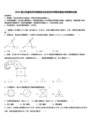 2024届江苏省苏州市高新区达标名校中考数学最后冲刺模拟试卷含解析.doc