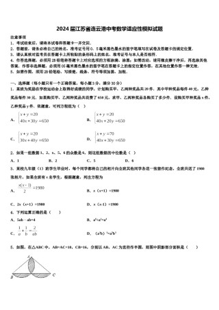 2024届江苏省连云港中考数学适应性模拟试题含解析.doc