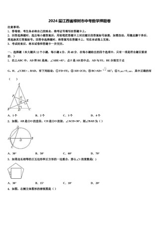 2024届江西省樟树市中考数学押题卷含解析.doc