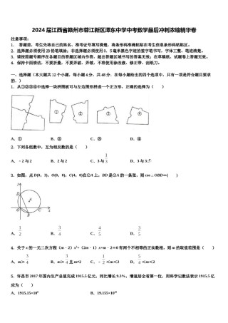 2024届江西省赣州市蓉江新区潭东中学中考数学最后冲刺浓缩精华卷含解析.doc