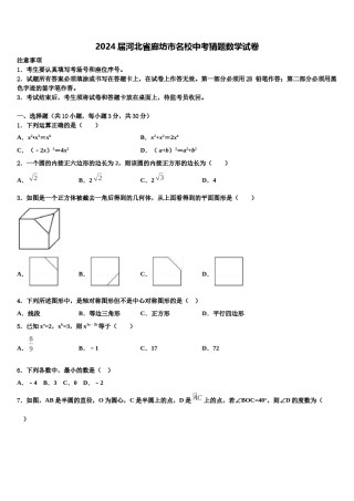 2024届河北省廊坊市名校中考猜题数学试卷含解析.doc