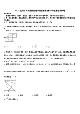 2024届河北石家庄新世纪外国语市级名校中考联考数学试卷含解析.doc