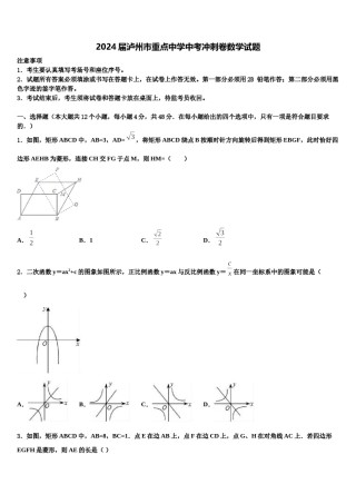 2024届泸州市重点中学中考冲刺卷数学试题含解析.doc
