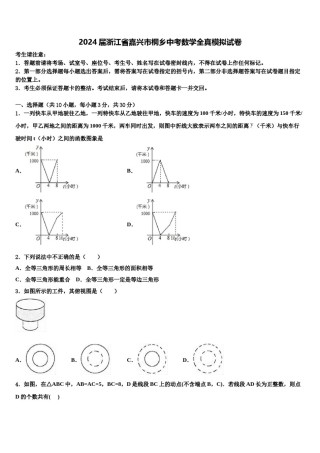 2024届浙江省嘉兴市桐乡中考数学全真模拟试卷含解析.doc