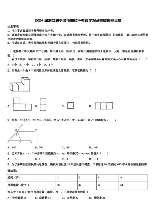 2024届浙江省宁波市四校中考数学对点突破模拟试卷含解析.doc