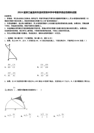 2024届浙江省温州市温州实验中学中考数学适应性模拟试题含解析.doc