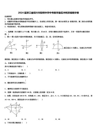 2024届浙江省绍兴市阳明中学中考数学最后冲刺浓缩精华卷含解析.doc