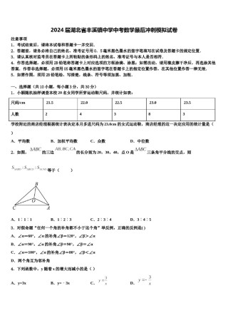 2024届湖北省丰溪镇中学中考数学最后冲刺模拟试卷含解析.doc