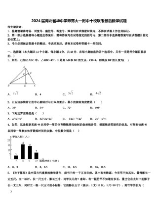 2024届湖北省华中学师范大一附中十校联考最后数学试题含解析.doc