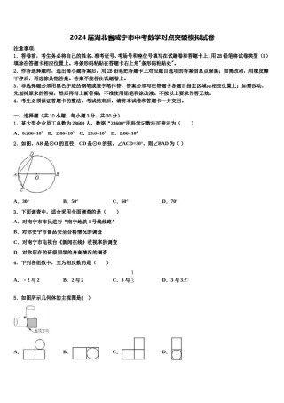 2024届湖北省咸宁市中考数学对点突破模拟试卷含解析.doc