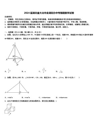 2024届湖北省大冶市金湖街办中考猜题数学试卷含解析.doc