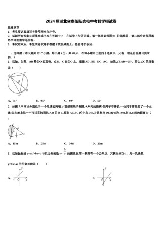 2024届湖北省枣阳阳光校中考数学模试卷含解析.doc