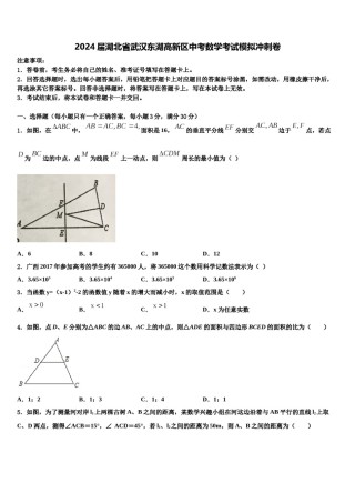 2024届湖北省武汉东湖高新区中考数学考试模拟冲刺卷含解析.doc