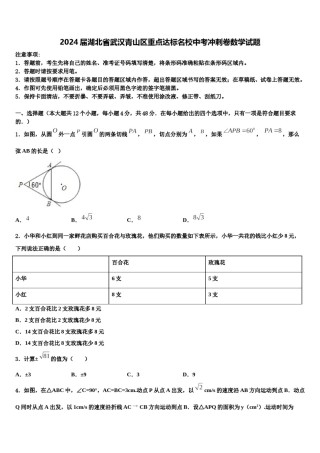 2024届湖北省武汉青山区重点达标名校中考冲刺卷数学试题含解析.doc