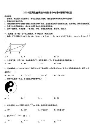 2024届湖北省襄阳市枣阳市中考冲刺卷数学试题含解析.doc