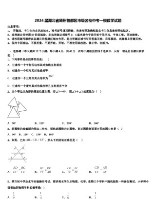 2024届湖北省随州曾都区市级名校中考一模数学试题含解析.doc