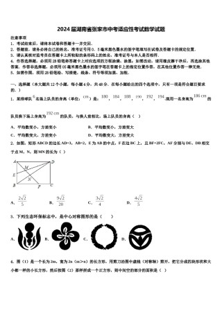 2024届湖南省张家市中考适应性考试数学试题含解析.doc