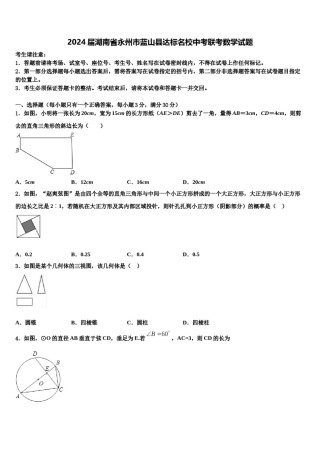 2024届湖南省永州市蓝山县达标名校中考联考数学试题含解析.doc