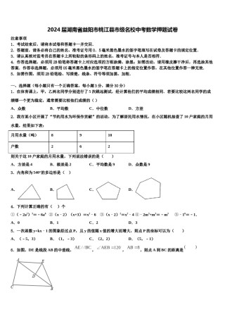 2024届湖南省益阳市桃江县市级名校中考数学押题试卷含解析.doc