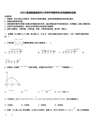 2024届湖南省衡阳市八中学中考数学对点突破模拟试卷含解析.doc