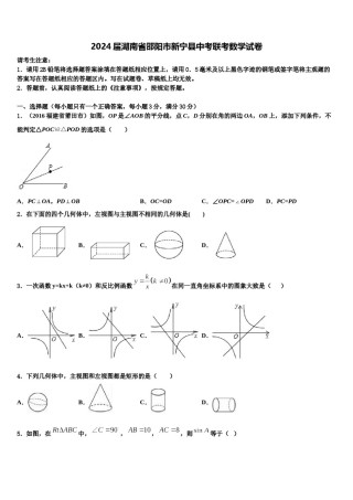 2024届湖南省邵阳市新宁县中考联考数学试卷含解析.doc