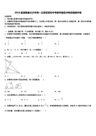 2024届湖南省长沙市湘一立信实验校中考数学最后冲刺浓缩精华卷含解析.doc