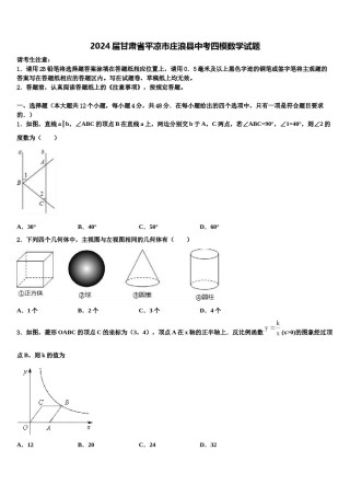 2024届甘肃省平凉市庄浪县中考四模数学试题含解析.doc