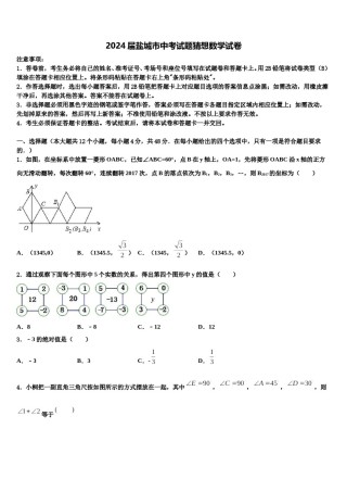 2024届盐城市中考试题猜想数学试卷含解析.doc