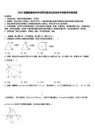 2024届福建省泉州市石狮市重点达标名校中考数学五模试卷含解析.doc