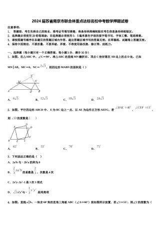 2024届苏省南京市联合体重点达标名校中考数学押题试卷含解析.doc