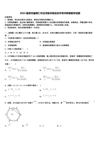 2024届贵州省铜仁市沿河县市级名校中考冲刺卷数学试题含解析.doc
