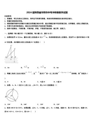 2024届陕西省华阴市中考冲刺卷数学试题含解析.doc