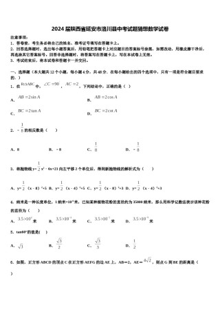 2024届陕西省延安市洛川县中考试题猜想数学试卷含解析.doc