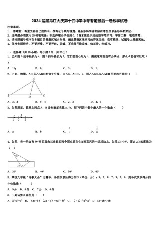 2024届黑龙江大庆第十四中学中考考前最后一卷数学试卷含解析.doc