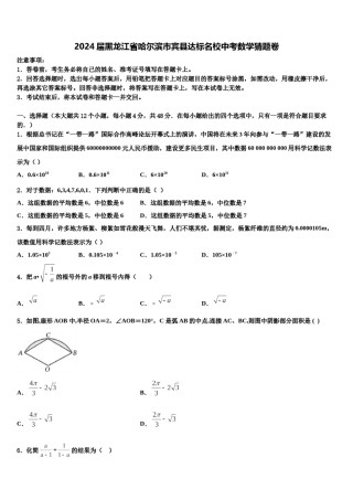2024届黑龙江省哈尔滨市宾县达标名校中考数学猜题卷含解析.doc