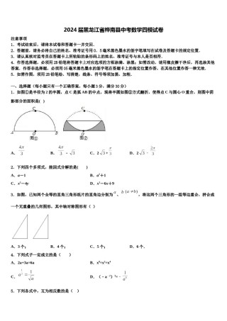 2024届黑龙江省桦南县中考数学四模试卷含解析.doc